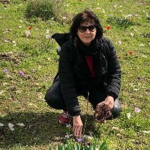 avitalgat - תמונה