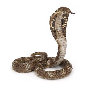 תמונת משתמש