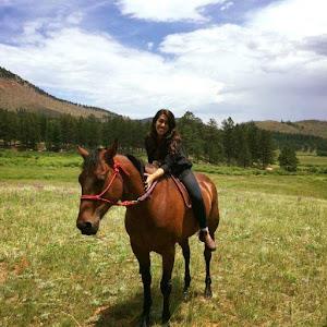 תמונת משתמש