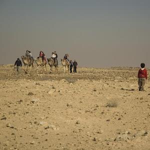תמונת משתמש