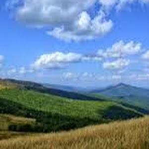 תמונת משתמש