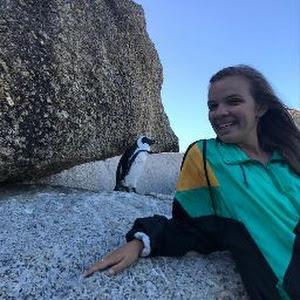 תמונת משתמש