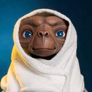 arik0546505040 - תמונה arik0546505040 - תמונה