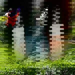 Michelle - תמונה