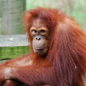 תמונת משתמש