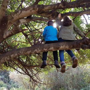 תמונת משתמש