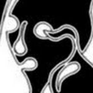 תמונת משתמש