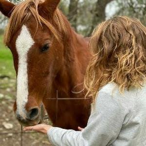 תמונת משתמש