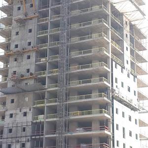 תמונת משתמש