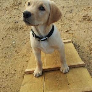 תמונת משתמש