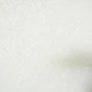 תמונת משתמש