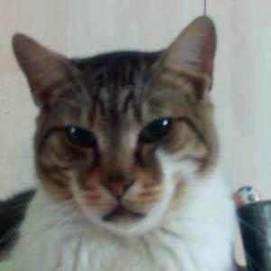 תמונת משתמש