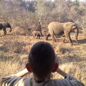 תמונת משתמש