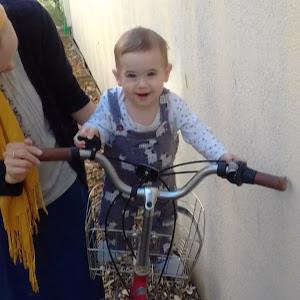 תמונת משתמש