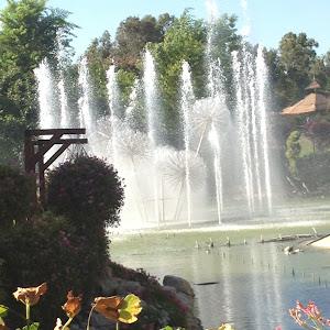 תמונת משתמש