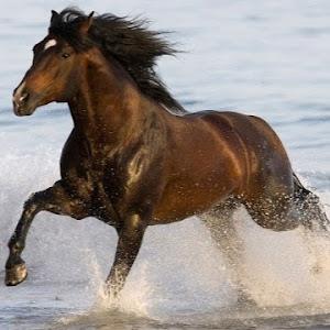 תמונת משתמש