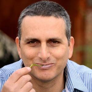 תמונת משתמש