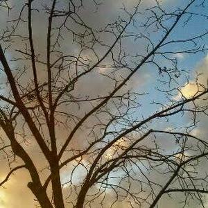 תמונת משתמש