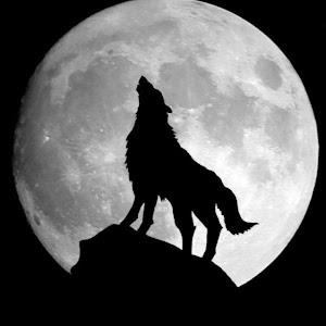 תמונת משתמש