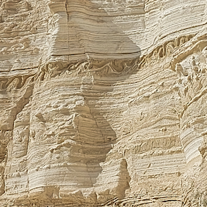 תמונת משתמש