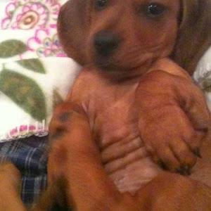 תמונת משתמש