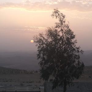 תמונת משתמש