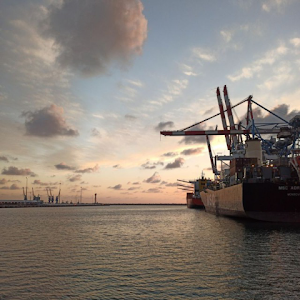 תמונת משתמש