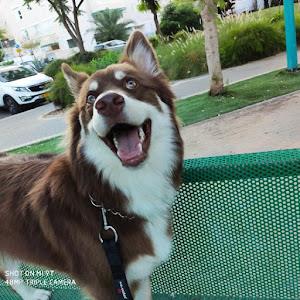 תמונת משתמש