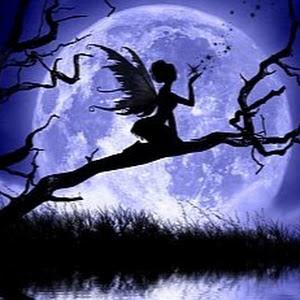 תמונת משתמש