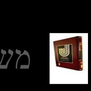 תמונת משתמש