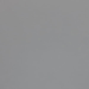 תמונת משתמש