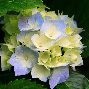 תמונת משתמש