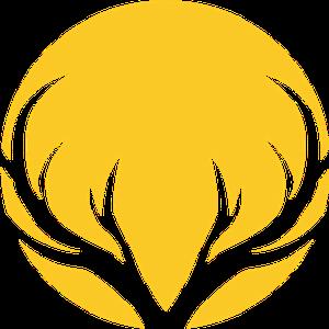 תמונת משתמש