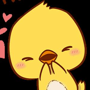 תמונת משתמש