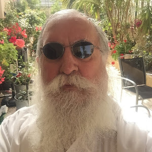 תמונת משתמש