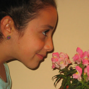 tzipporareich