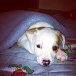 תמונת משתמש