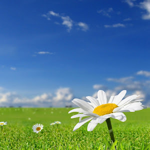 תמונת משתמש