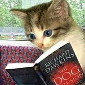 תמונת משתמש