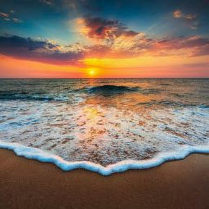 תמונת משתמש