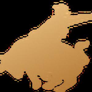 תמונת משתמש