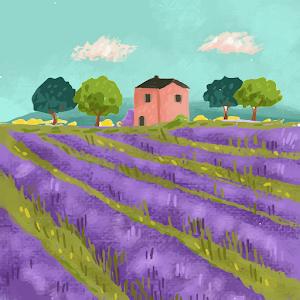 תמונת משתמש