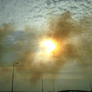 תמונת משתמש
