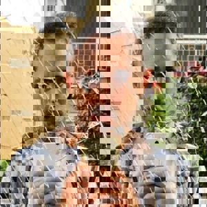 תמונת משתמש