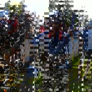 תמונת משתמש