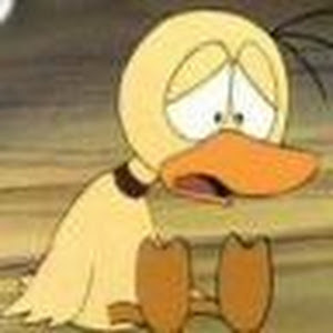 תמונת משתמש