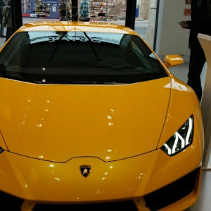 תמונת משתמש