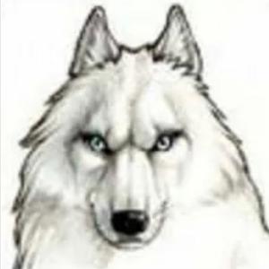 תמונת משתמש