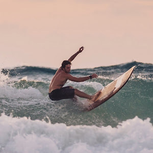 תמונת משתמש