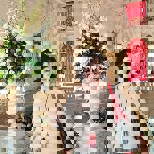 תמונת משתמש